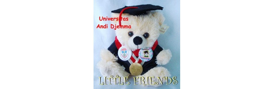 Boneka Wisuda Universitas Andi Djemma